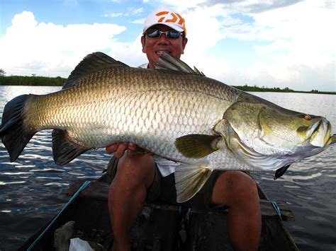 largest saltwater fish|biggest fresh water fish.
